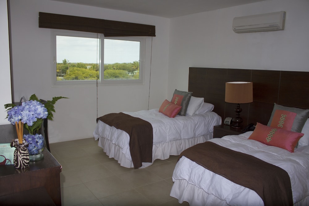 Triple Room, Mountain View