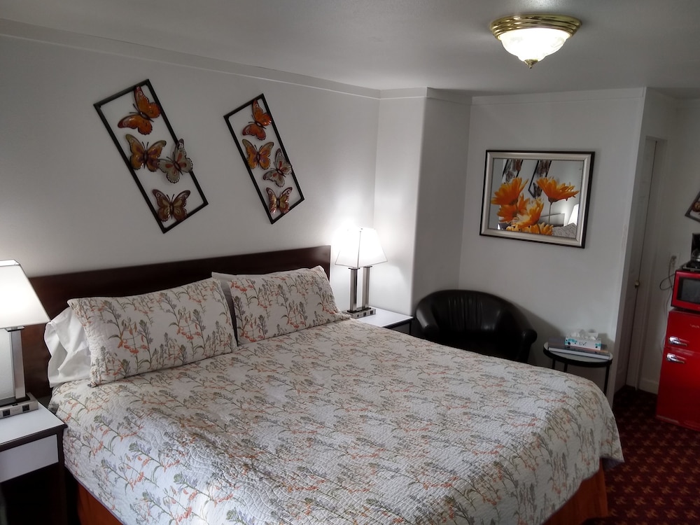 Room, 1 King Bed, Non Smoking - Photo 1