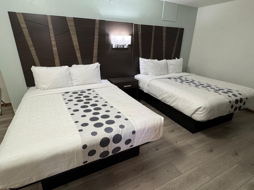 Comfort Double or Twin Room photo 1