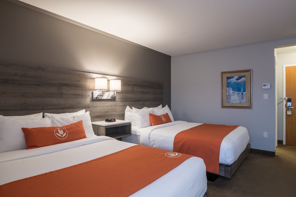 Standard Double Room, 2 Queen Beds - Photo 1