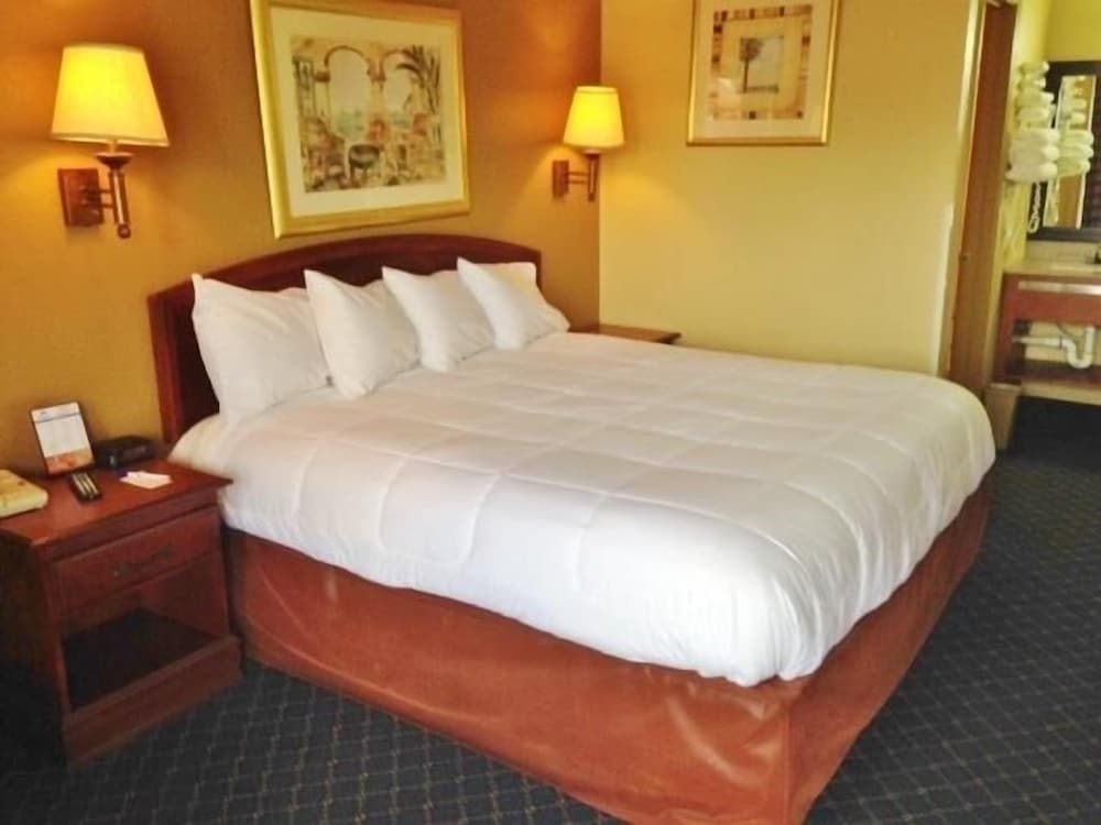 Room, 1 King Bed, Smoking - Photo 12