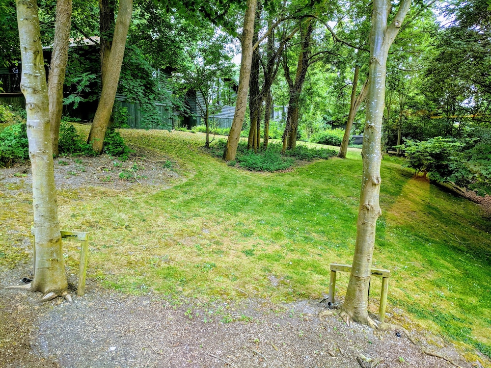 Room, 2 Bedrooms, Kitchen, Garden Area (Woodland Lodge), photo 6