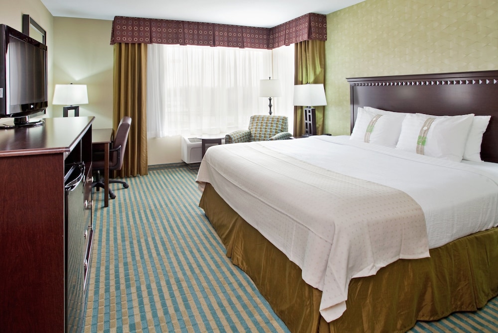 Standard Room, 1 King Bed, Accessible (Hearing, Mobility Tub) - Photo 2