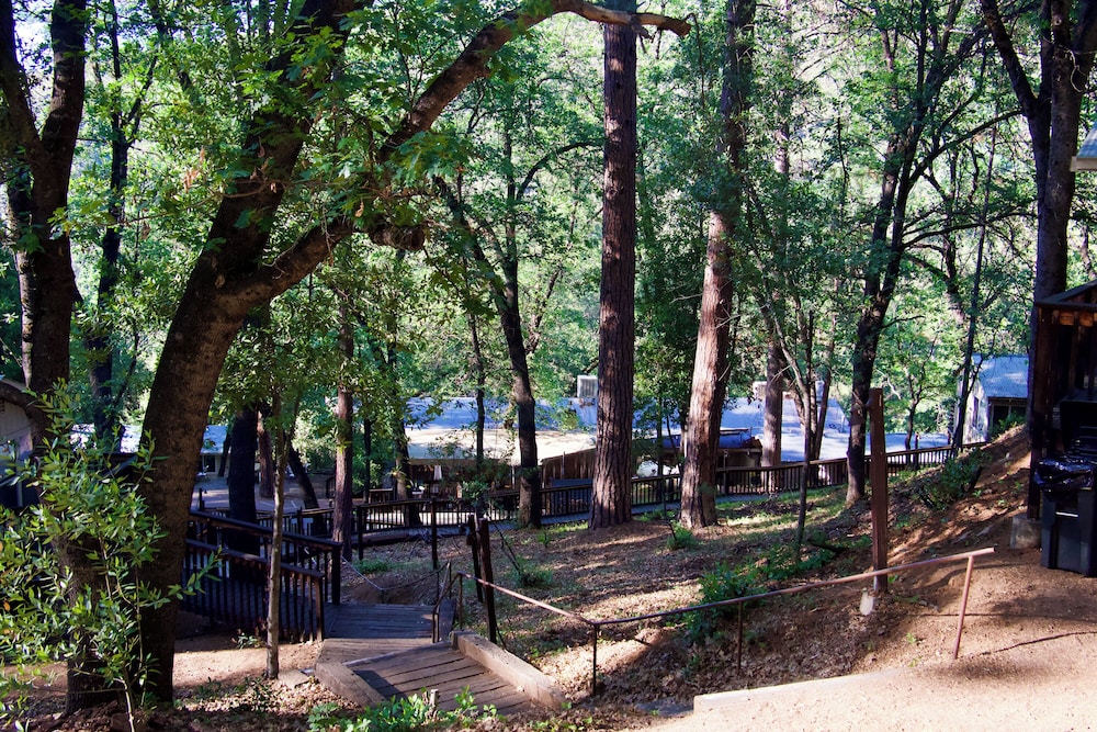 Yosemite Bug Rustic Mountain Resort, 写真 2