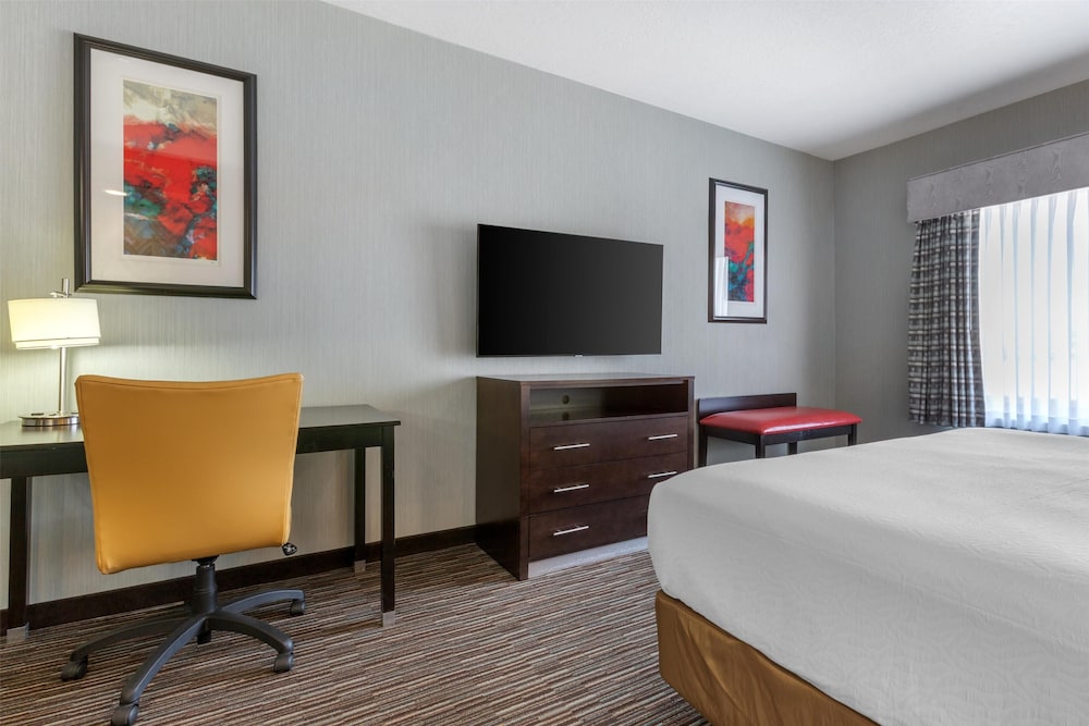 Standard Room, 1 King Bed, Non Smoking, Refrigerator & Microwave photo 3