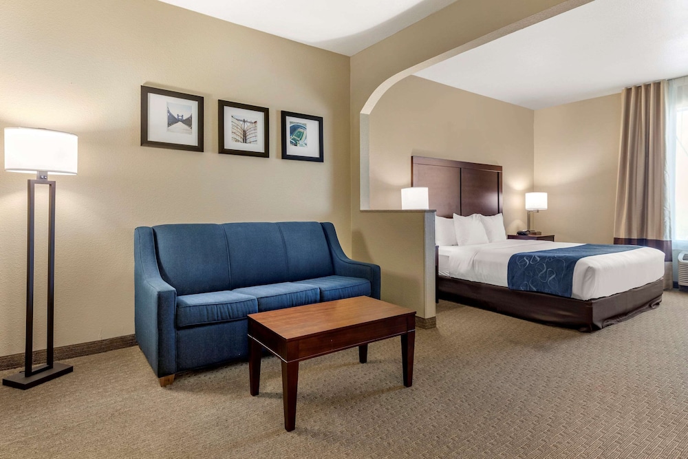 Suite, 1 King Bed with Sofa bed, Accessible, Non Smoking - Photo 1
