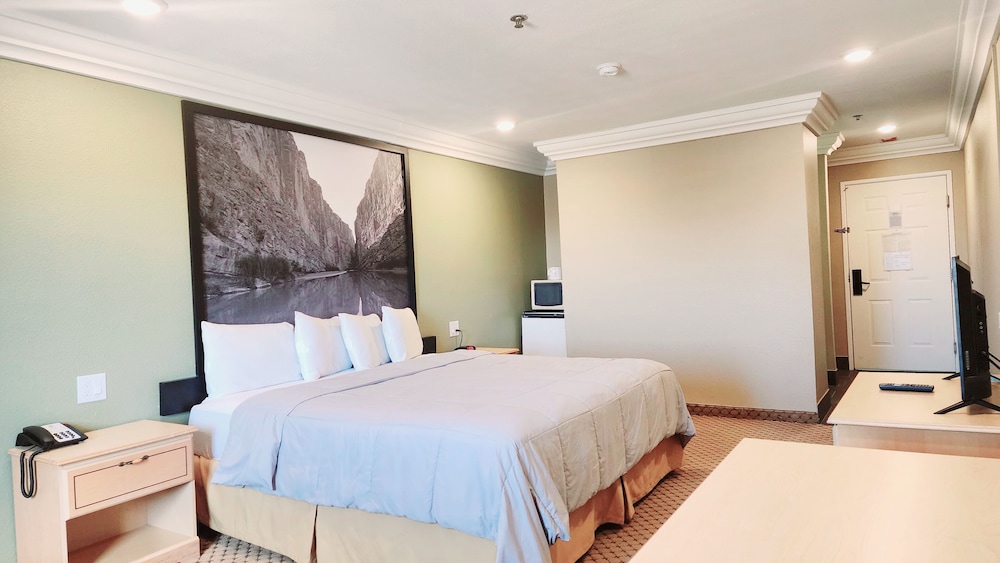 Room, 1 King Bed, Non Smoking - Photo 4