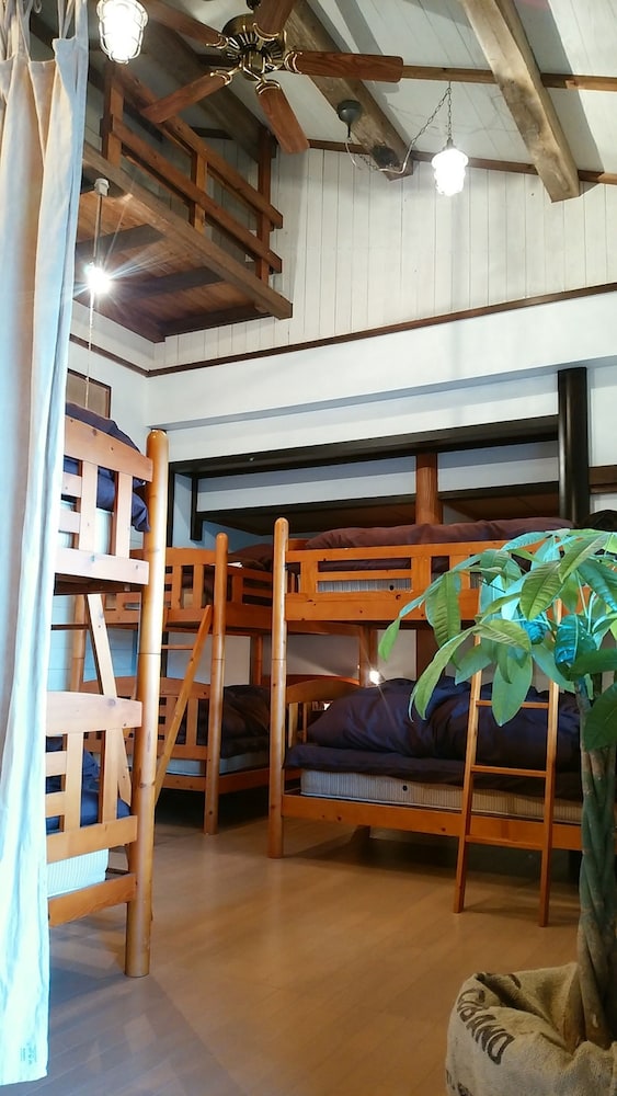 Shared Dormitory, Mixed Dorm photo 1