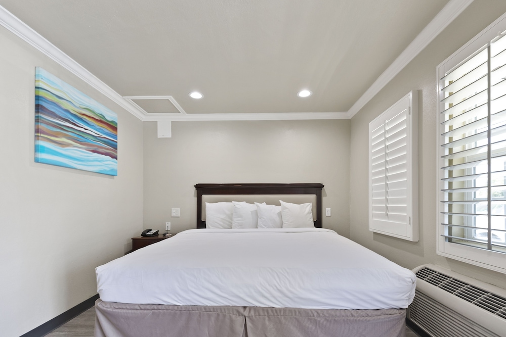 Deluxe Studio, 1 King Bed, Non Smoking, Kitchenette photo 3