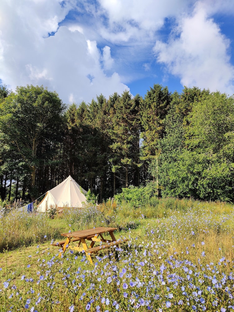 Luxury Tent Marsh Harrier photo 3