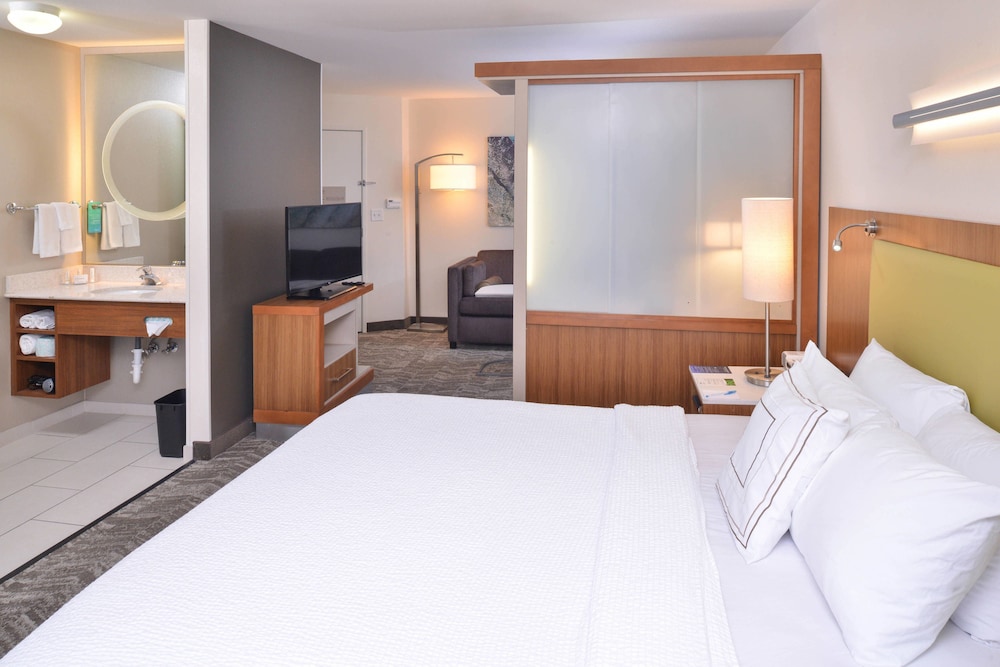 Studio Suite, 1 King Bed - Photo 3