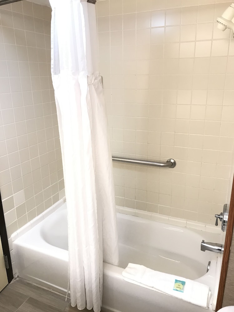 Standard Room, 2 Queen Beds, Refrigerator & Microwave