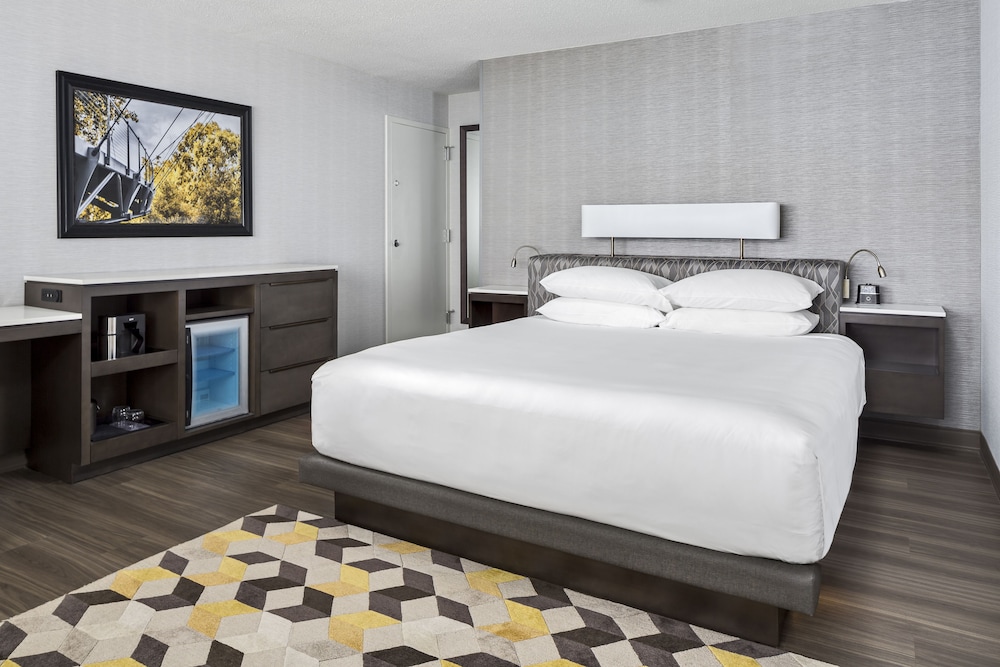 Room, 1 King Bed, Accessible - Photo 4