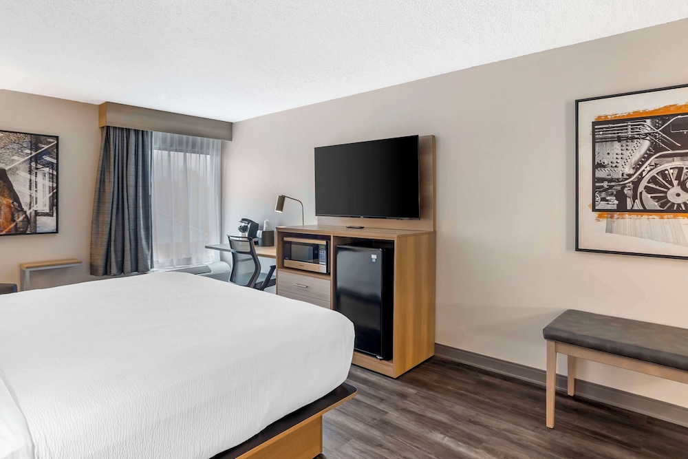 Standard Room, 1 King Bed, Non Smoking, Jetted Tub - Photo 9
