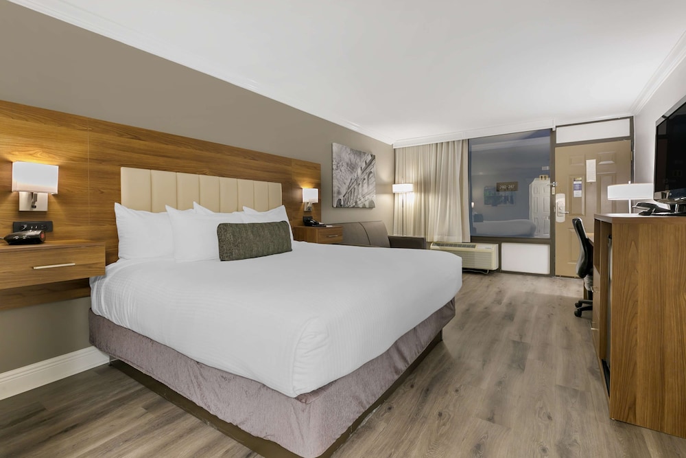 Standard Room, 1 King Bed, Non Smoking, Refrigerator & Microwave (with Sofabed) - Photo 3