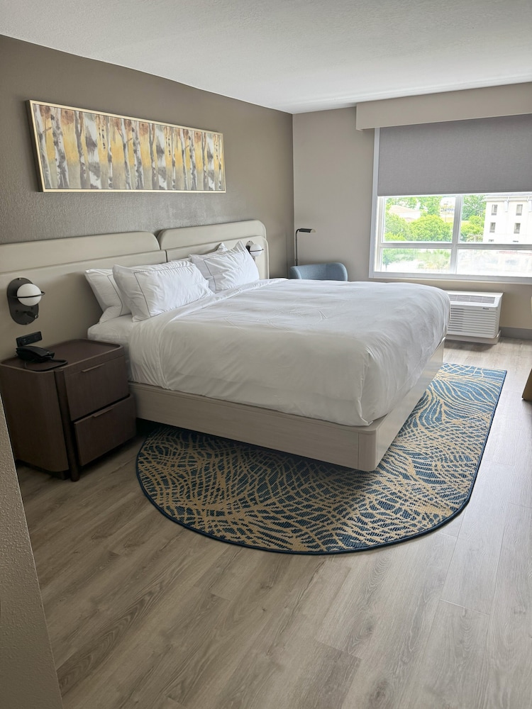 Suite, 1 King Bed, Accessible, Bathtub (Mobility & Hearing)