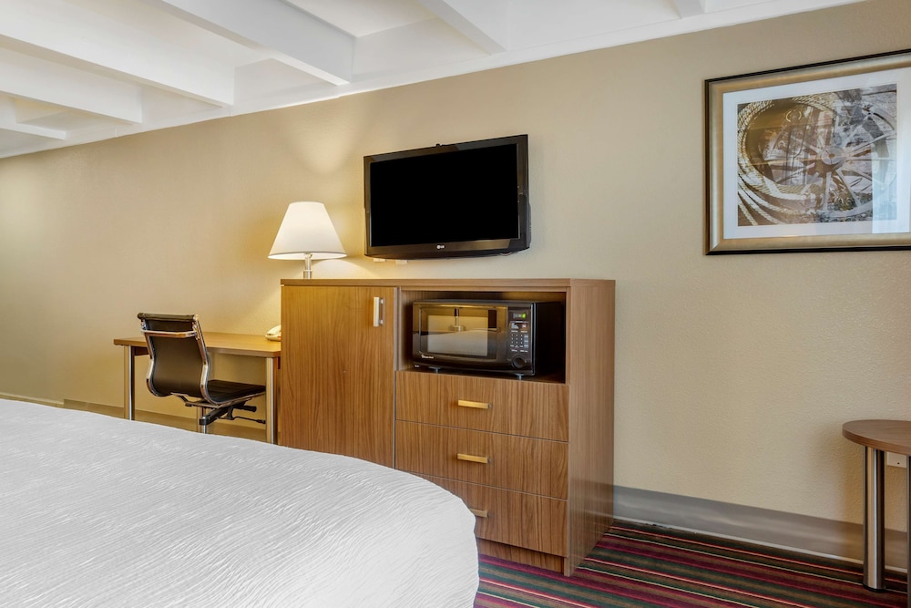 Standard Room, 1 King Bed, Accessible, Non Smoking photo 2
