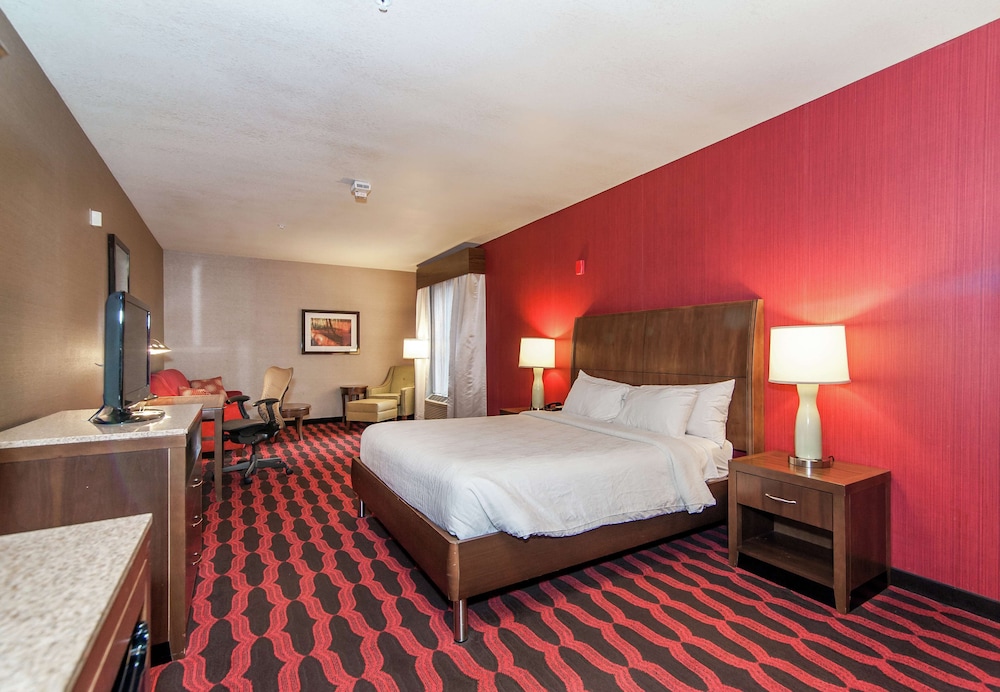 Room, 1 King Bed, Accessible