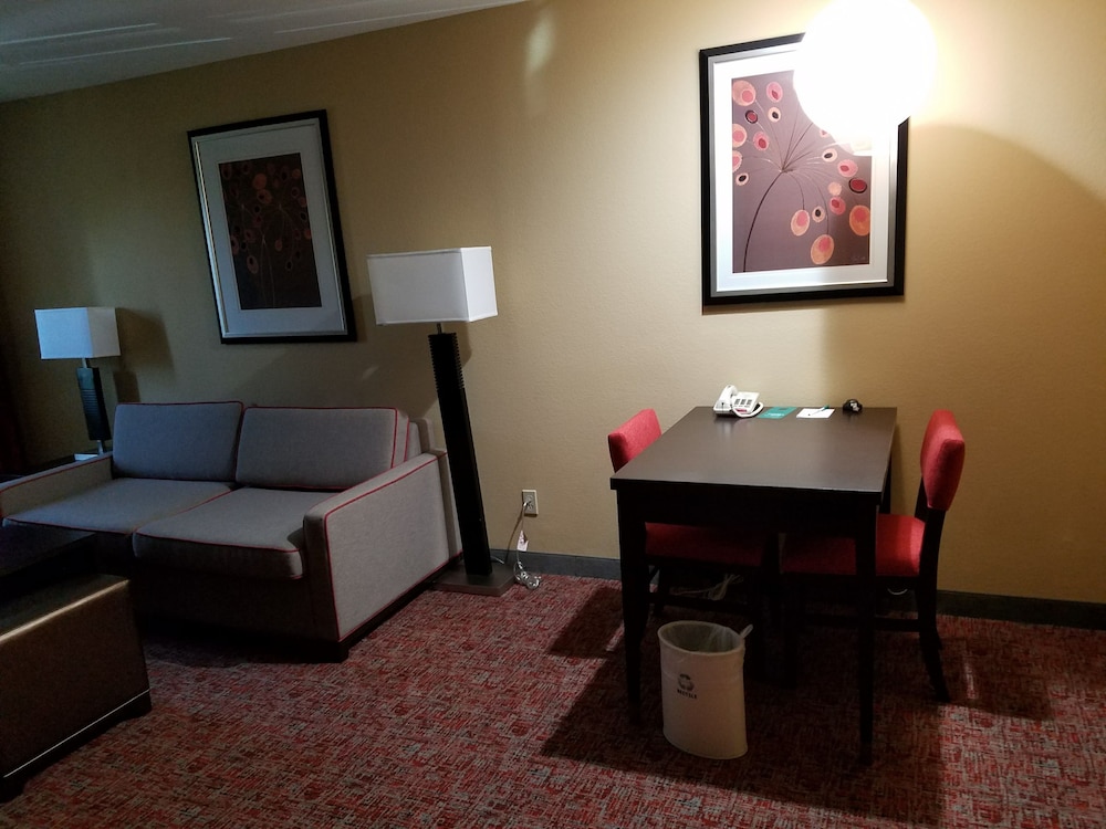 Suite, 1 King Bed, Accessible, Non Smoking (Roll-in shower) - Photo 11