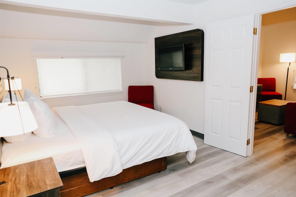 Room, Multiple Beds, Non Smoking (Deluxe Penthouse Suite) - Photo 4