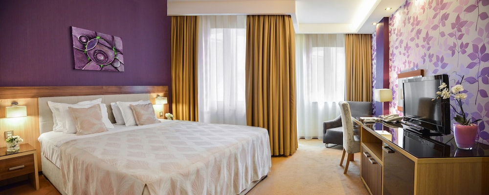 Suite - Photo 1