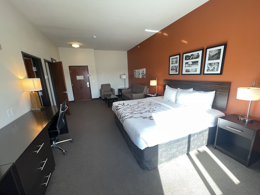 Suite, 1 King Bed With Sofa Bed, Accessible, Non Smoking photo 2