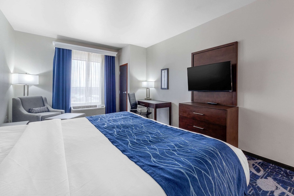 Standard Room, 1 King Bed, Non Smoking photo 3