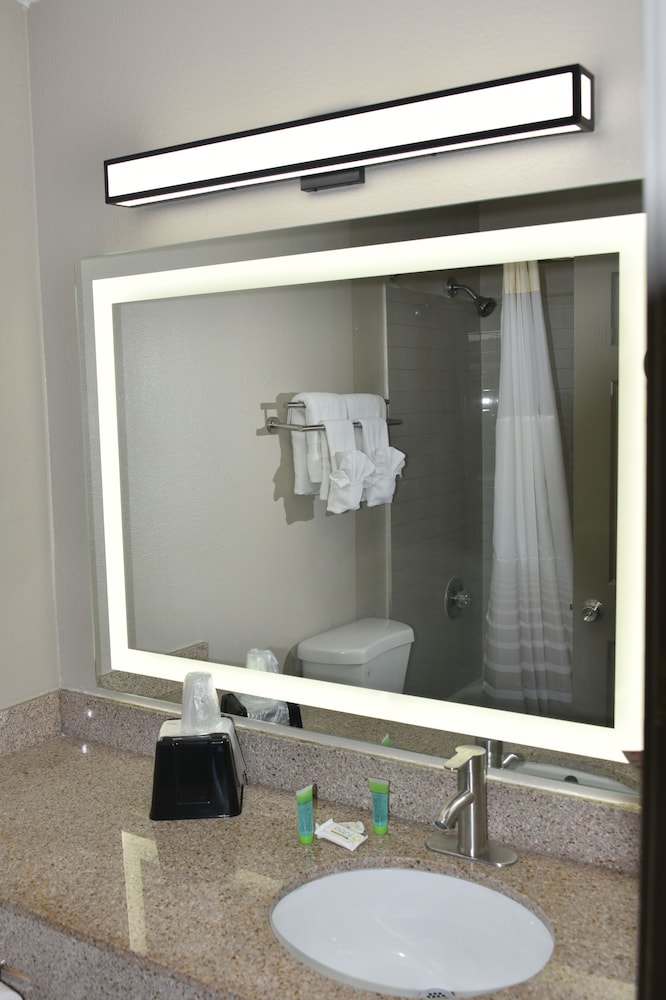 Deluxe Room, 1 King Bed, Non Smoking (Interior Room) photo 1