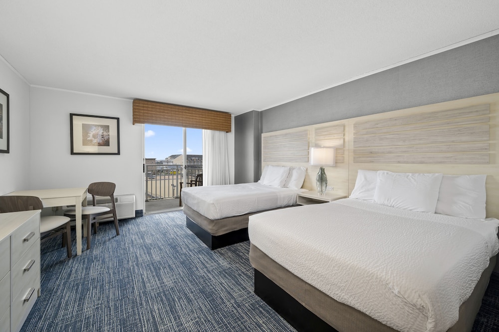 Single Room, 2 Double Beds, City View (ADA) photo 1