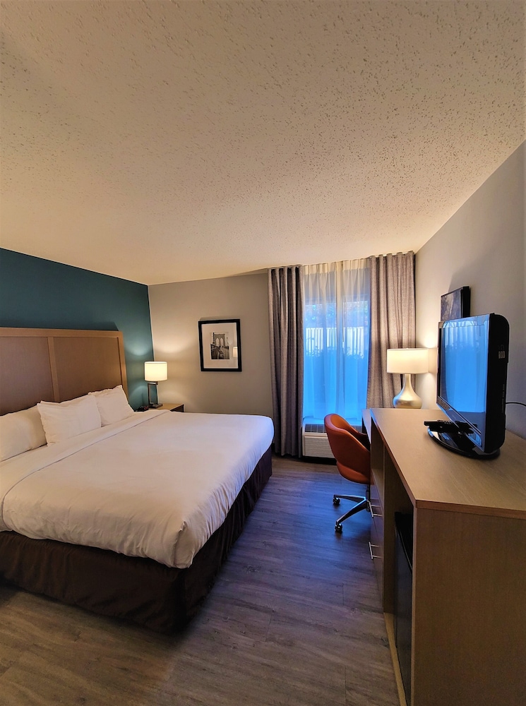 Room, 1 King Bed, Non Smoking (Efficiency, Upgrade) - Photo 3