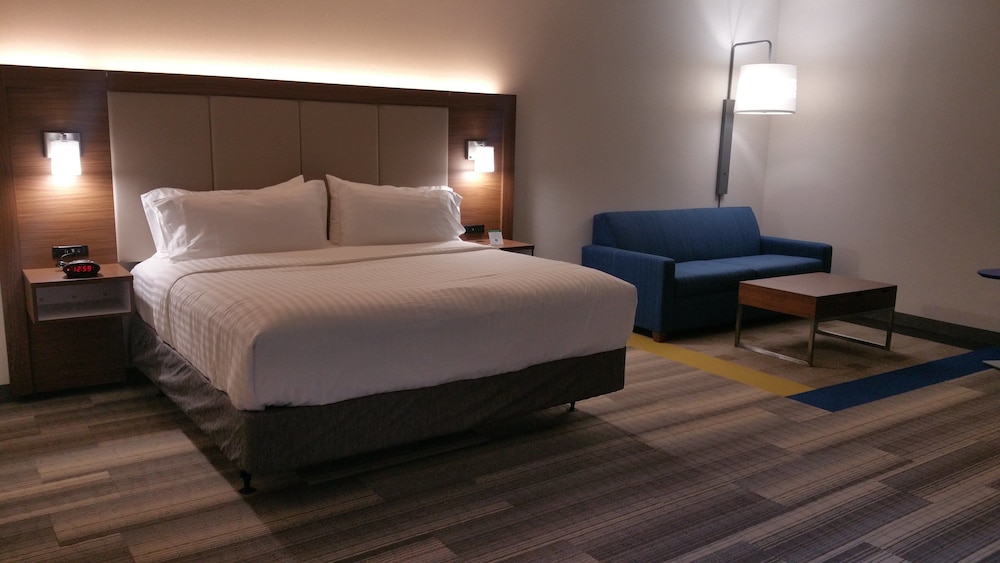 Suite, 1 King Bed, Accessible (Mobility Roll-In Shower) photo 2