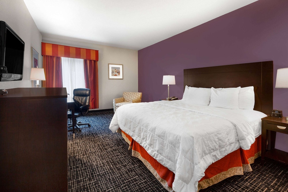 Room, 1 King Bed, Non Smoking - Photo 4
