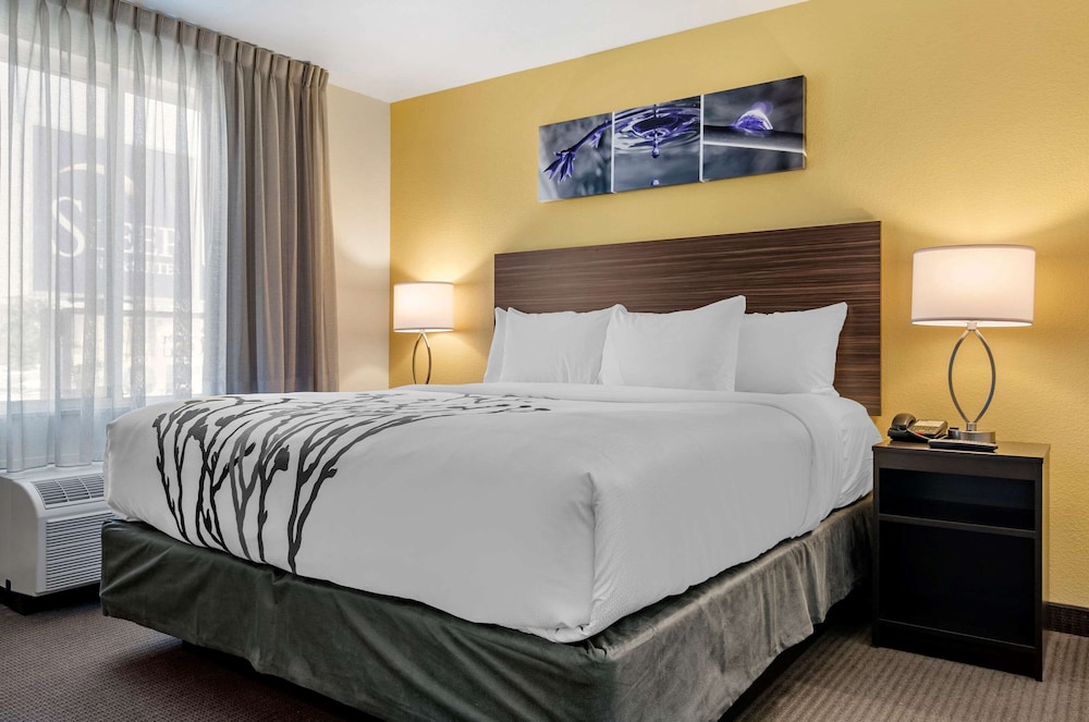 Standard Room, 1 King Bed, Accessible, Non Smoking (Roll-In Shower) - Photo 4