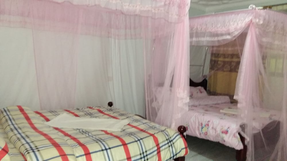 Deluxe Twin Room photo 1