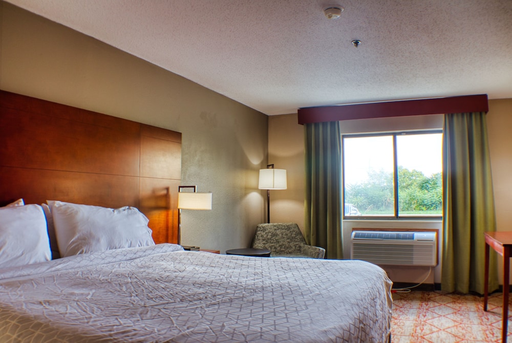 Standard Room, 1 King Bed, Non Smoking, Refrigerator & Microwave (With Sofabed) - Photo 6