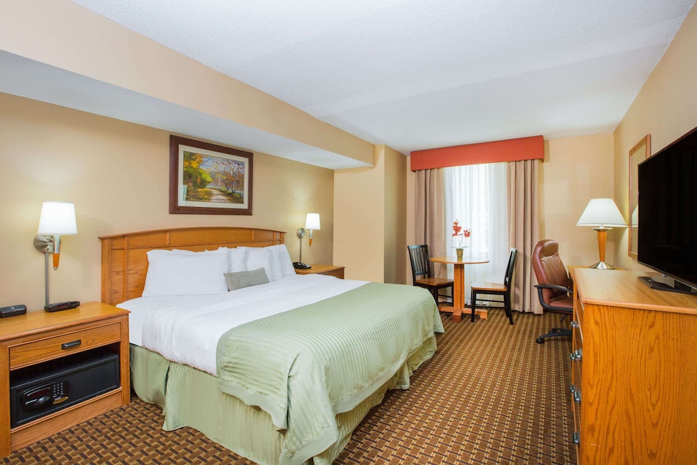 Suite, 1 King Bed, Non Smoking, Poolside photo 1