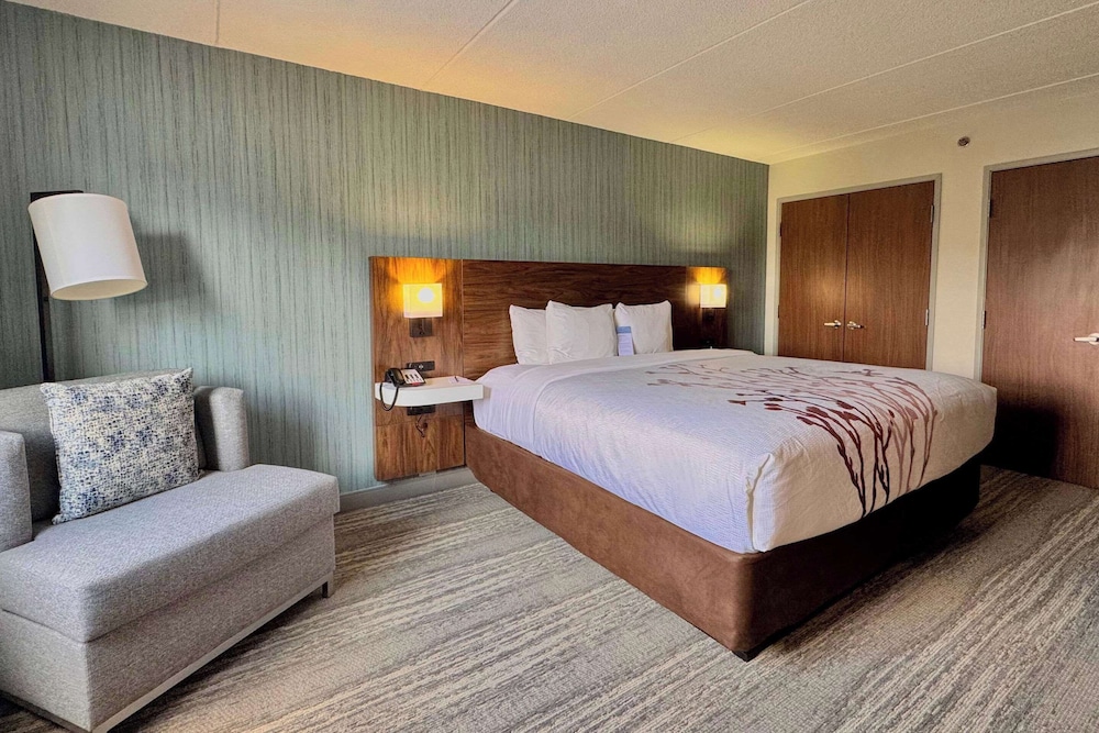Suite, 1 King Bed with Sofa bed, Non Smoking (Upgrade) photo 1