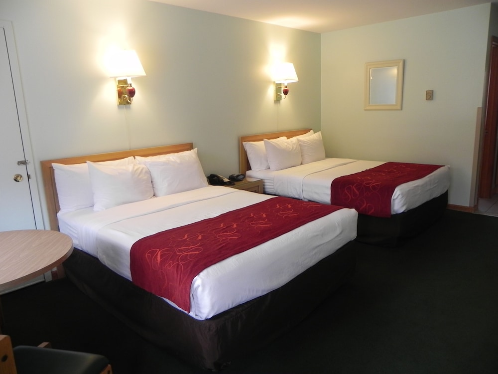 Standard Room photo 1