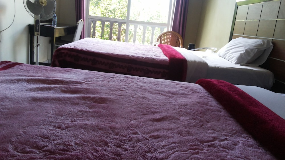 Deluxe Twin Room photo 2