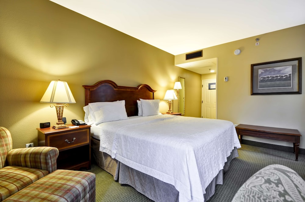 Room, 1 King Bed