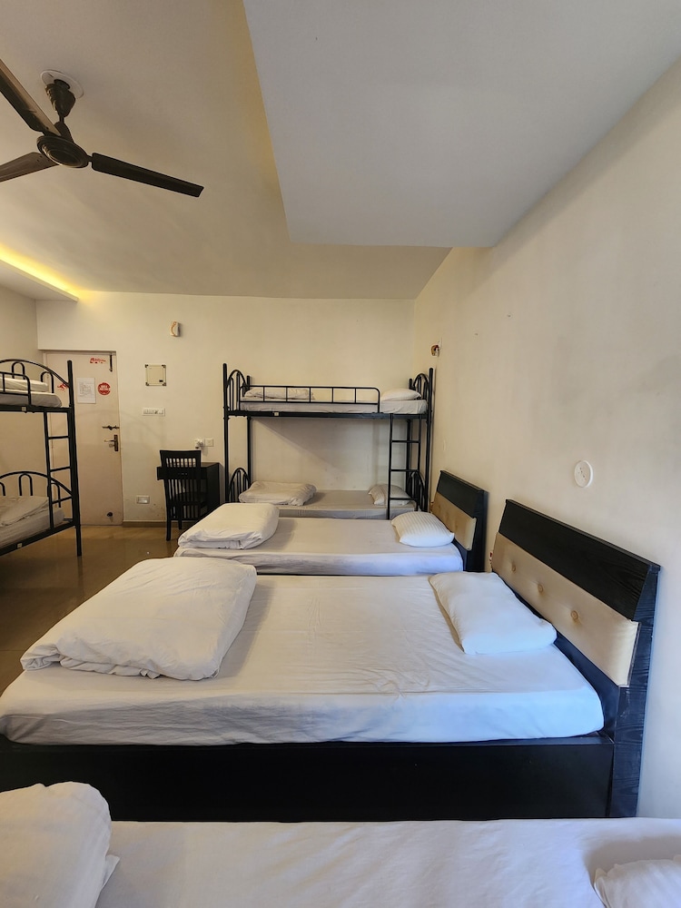 Luxury Shared Dormitory photo 3