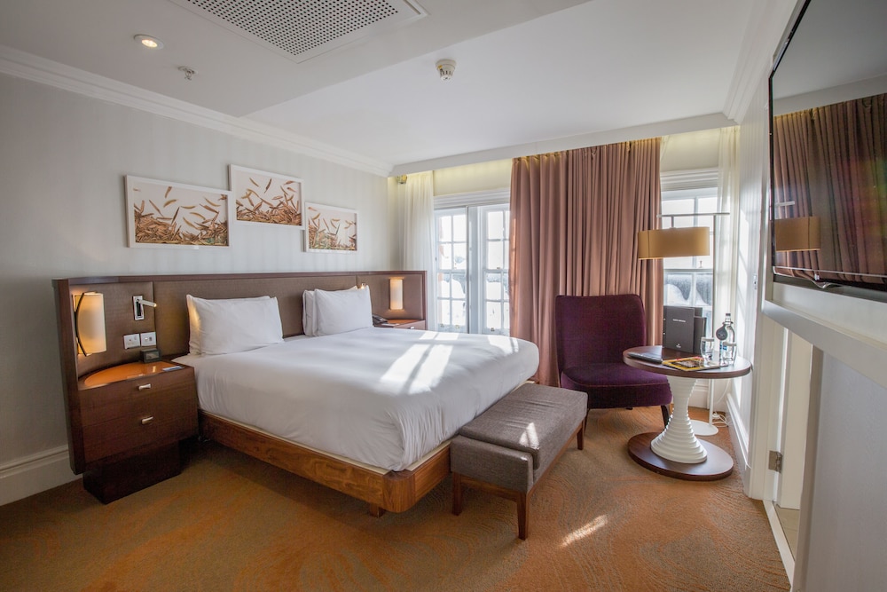 Suite (Dome) photo 3