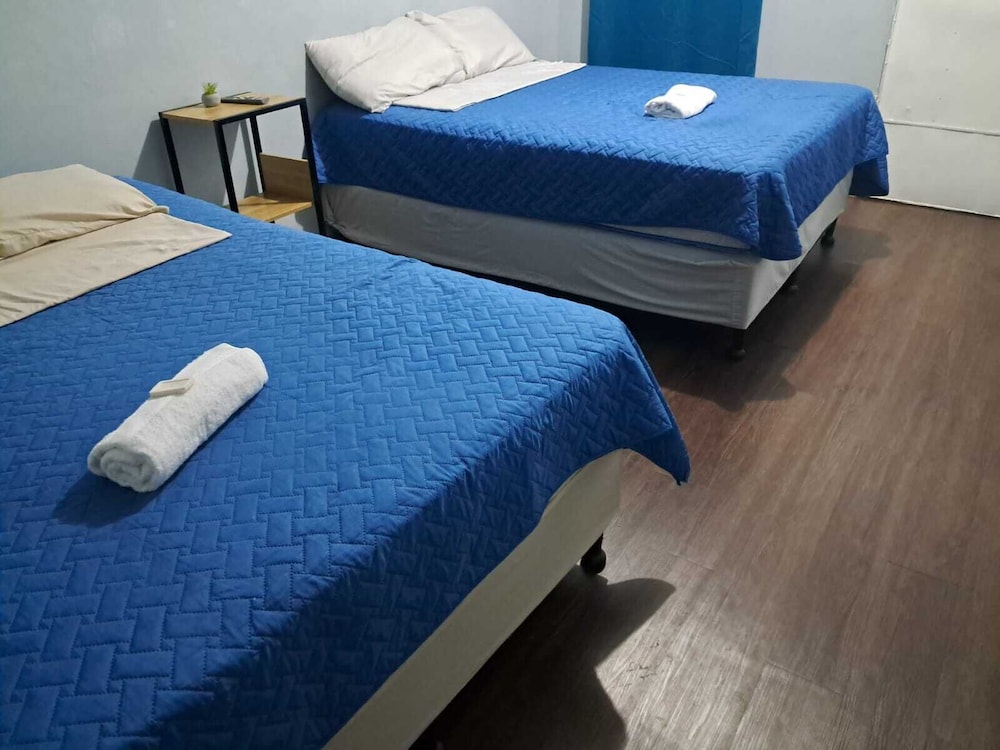 Economy Room photo 1