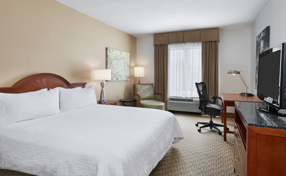 Room, 1 King Bed, Accessible - Photo 2