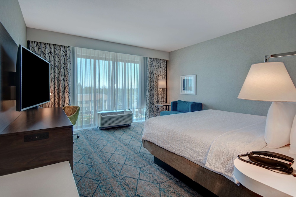 Standard Room, 1 King Bed, Accessible, Bathtub (Mobility & Hearing) - Photo 4