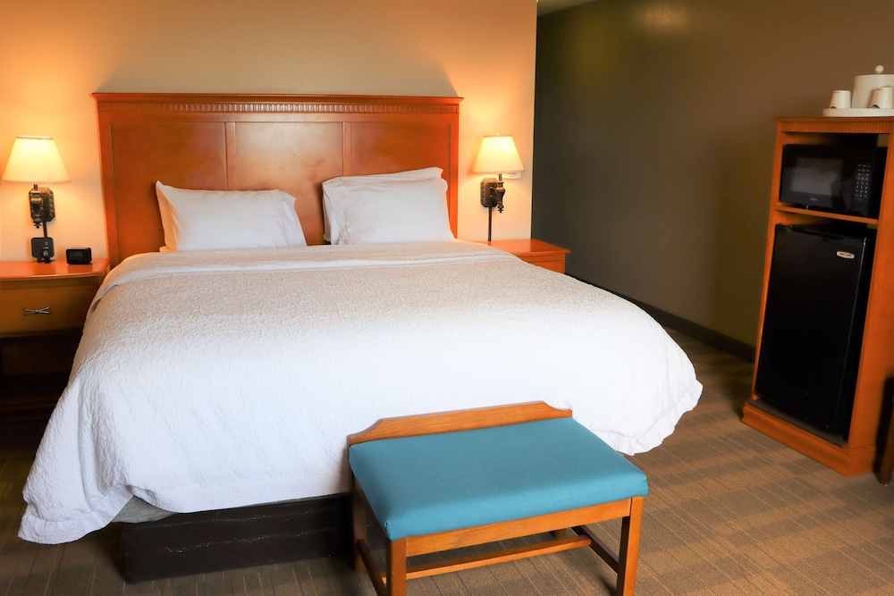 Room, 1 King Bed, Non Smoking photo 2