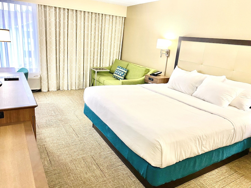 Room, 1 King Bed, Accessible, Non Smoking - Photo 6