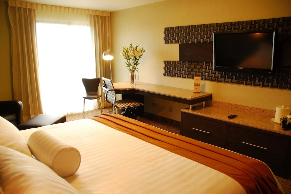 Standard Single Room photo 2