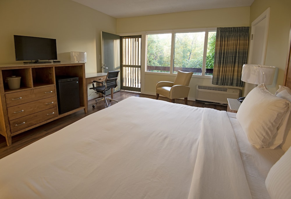 Room, 1 King Bed, Accessible (Lodge)