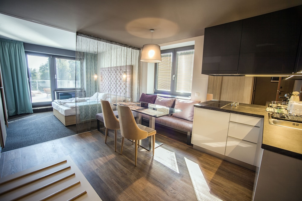 Deluxe One-Bedroom Apartment